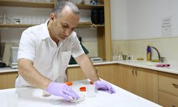 Yağışlarla bitki örtüsü arttı, kene popülasyonu riski yükseldi