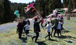 Yaylaya çıktılar, kitaba sarıldılar; 'mavi yıldız'lar arasında ders/ Ek fotoğraflar