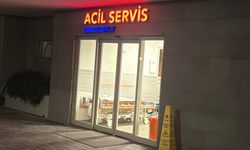 Zülfü Livaneli'nin eşi Ülker Livaneli merdivenden düşerek yaralandı