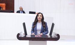 Nurhayat Altaca Kayışoğlu TBMM’de yurt dışı sorunlarını anlattı