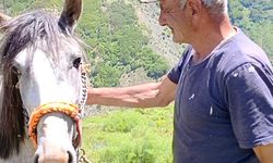 17 yaşından beri yılın 6 ayını yaylada tek başına geçiriyor