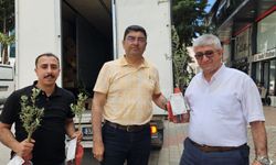 5 bin zeytin fidanı dağıtıp, oğlunun düğününe çağırdı