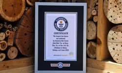 Adana'da hayata geçirilen 'arı oteli' dünyanın en büyüğü; Guinness tescil etti