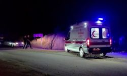 Adana'da uçuruma yuvarlanan otomobilin sürücüsü yaralandı
