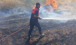 Adıyaman'da örtü ve anız yangınları; 1500 hektar alan zarar gördü