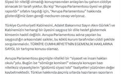 AK Parti'li Çelik: Türkiye'ye dönük bağnaz siyasi dilin hiçbir hükmü yoktur