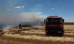 Aksaray'da yangında 500 dönüm ekili buğday ve arpa kül oldu