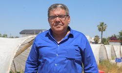 Antalya'da çilekte son hasat zamanı