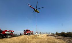 Antalya'da orman yangını (2)