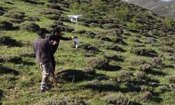 Arazideki çobanlara dronla 'şeker' gönderdiler
