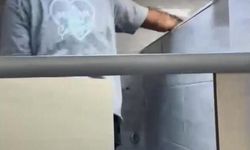 Arnavutköy'de okulda havalandırma boşluğuna düşen karga yavrusu çalışanlar tarafından kurtarıldı