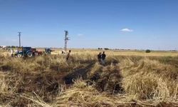 Arpa tarlasında çıkan yangında 10 dönüm alan zarar gördü