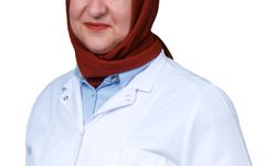 'Asya kaplan sivrisineği'ne karşı durgun su uyarısı