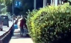 Avcılar Sahili'nde köpeğe şiddet kamerada