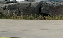 Avcılar'da denizde kadın cesedi bulundu