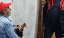 Bacaya düşen yavru kediyi itfaiye kurtardı