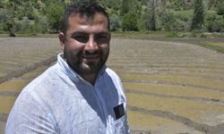 Bitlis'te imece usulü geleneksel çeltik ekimi başladı