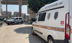Bursa'da husumetli kardeşler birbirini bıçakladı; 1'i ağır yaralı