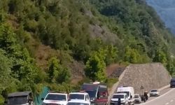 Bursa'da orman yangını (2)