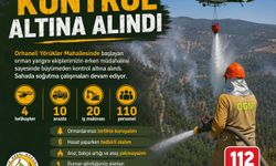 Bursa'da orman yangını (4)