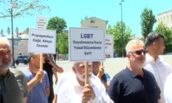 Büyük Aile Platformu'ndan LGBT temalı kruvaziyer gemisi ilişkin açıklama