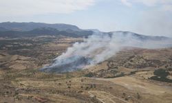 Çanakkale'de orman yangını kontrol altında