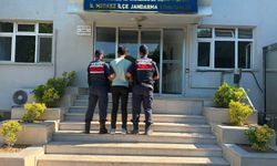 Çanakkale'de tarım arazisinde yangın (3)