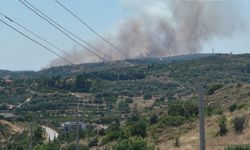 Çeşme'de çöplükte çıkan yangın, makilik alana sıçradı