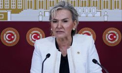 CHP İstanbul Milletvekili Nimet Özdemir partisinden istifa etti