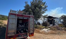 Cunda'da makilik alanda çıkan yangın ormanı yaktı (2)