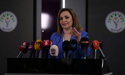 DEM Parti'li Doğan: Geçiş hukuku yasasını bir an evvel Meclis'e getirmeliyiz