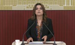 DEM Parti'li Koçyiğit: Çerçeve yasanın bir an önce TBMM'ye gelmesi gerekiyor
