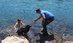 Deniz polisinin maskotu 'Miço'