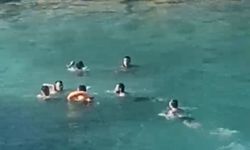 Denizde şişe ve sopayla darp olayında 3 tutuklama