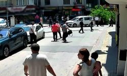 Devrilen tarihi çınar araca zarar verdi; yol trafiğe kapandı (2)