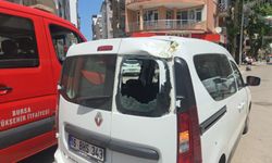 Devrilen tarihi çınar araca zarar verdi; yol trafiğe kapandı