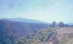 Devrilen traktörünün altında kalıp, öldü; kaza kamerada