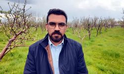 Diş hekimi, memleketine 2 bin ceviz fidanı dikti