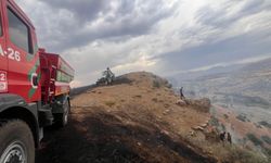 Diyarbakır kırsalında 10 noktada örtü ve anız yangını: 100 hektar alan yandı