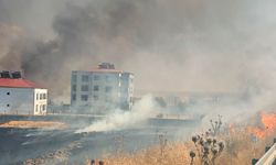 Diyarbakır'da çıkan anız yangını söndürüldü