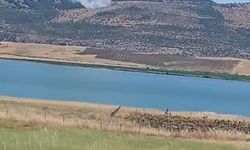 Diyarbakır'da örtü yangını
