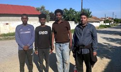 Edirne'de 31 düzensiz göçmen yakalandı