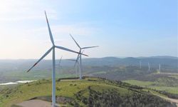 Enerjisa Üretim CEO'su Bayçöl'den Dünya Yenilenebilir Enerji Günü mesajı