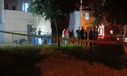 Eşiyle ilişkisi olduğundan şüphelendiği için eniştesini ve kardeşini öldürmüş