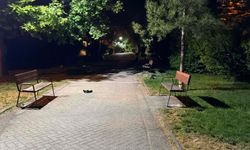 Eskişehir'de parkta alkol alan arkadaşlar arasında kavga: 3 yaralı