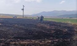 Gaziantep'te 5 dönümlük buğday tarlası yandı