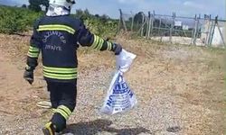 Gaziantep'te evde yakalanan yılan doğaya salındı