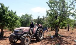 Gaziantep'te önce kuraklık sonra fırtınadan etkilenen kiraz, ihraç edilemeyecek
