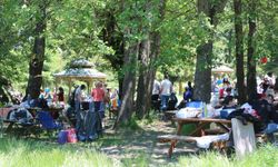 Gölcük'te çam ormanları dronla görüntülendi