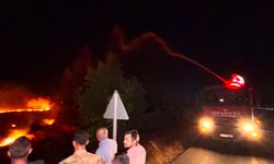 Hatay'da anız yangını, zeytin bahçelerine zarar verdi